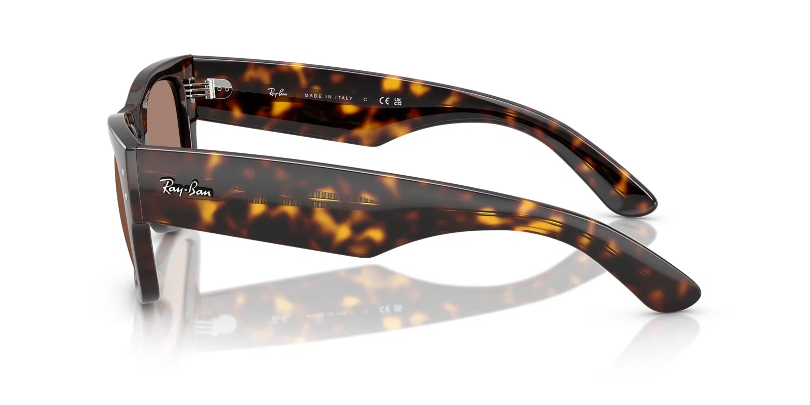 Ray-Ban Mega Wayfarer 0840SF Sunglasses - view 24